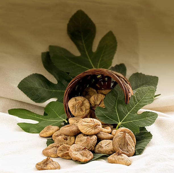 خرید انجیر خشک قم + فروش صادراتی